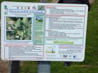 Elsass-11.Mai-2014-029