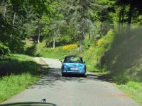 Elsass-11.Mai-2014-022