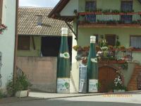 Elsass-11.Mai-2014-020